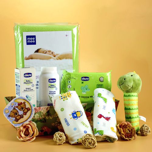 Newborn Comfort N Hygiene Gift Set