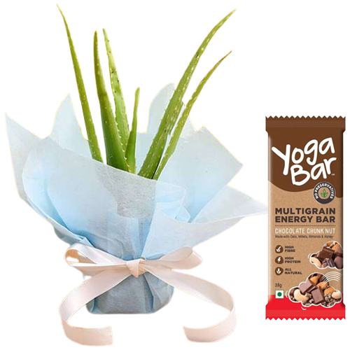 Yoga Bar Multigrain Energy Bar - Chocolate Chunk Nut, 38 g